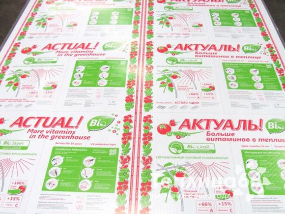 Поликарбонат сотовый 4мм Actual BIO прозрачный 2,1х6м