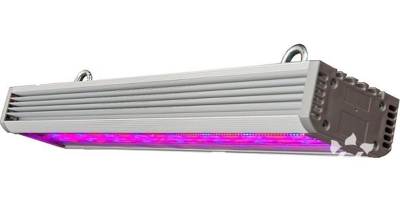 Фитосветильник ДСП 04-80-002 FitoLED Profi 80