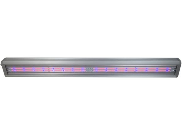 Фитосветильник ДСП 04-210-002 FitoLED Profi 210