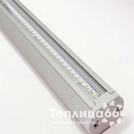 Фитосветильник ДСП 02-24-003 FitoLED 24 Orange