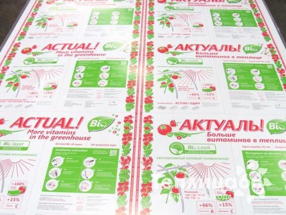 Поликарбонат сотовый 4мм Actual BIO прозрачный 2,1х12м