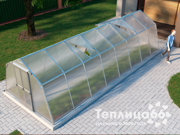 Теплица Мята под поликарбонат, 3x8 метра